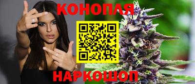 спиды Жуковский