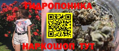 кокс Гусев