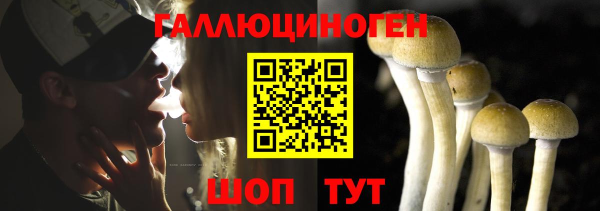 Псилоцибиновые грибы Magic Shrooms Менделеевск